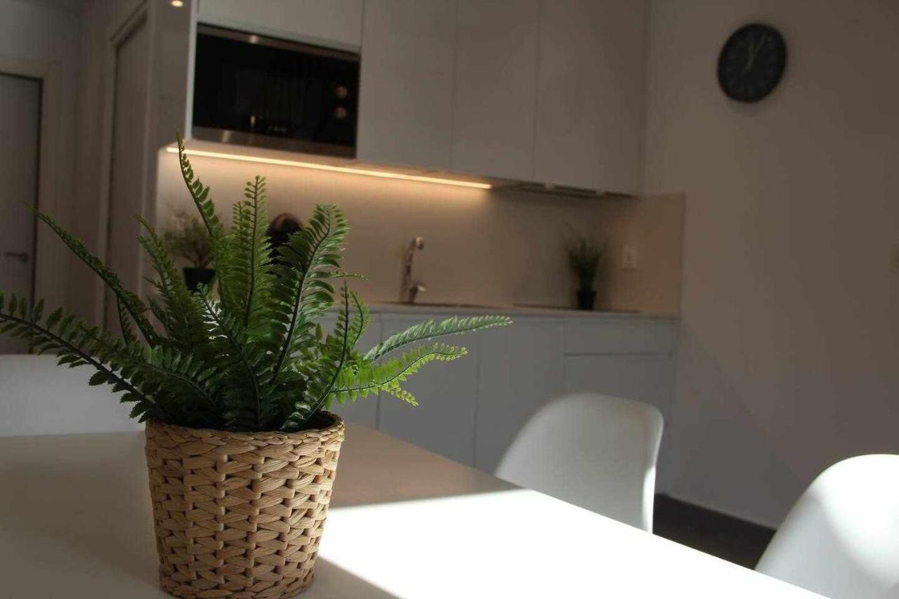 Apartamentos Rurales Patxillaborda Eki Lezo Bagian luar foto